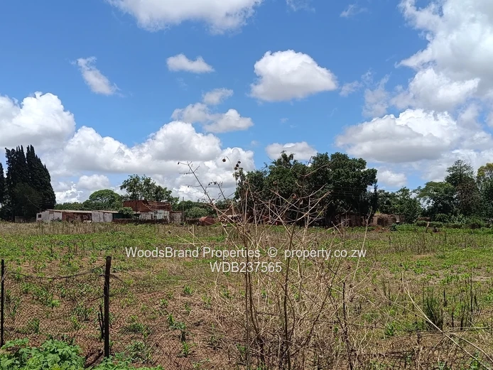 Mt Hampden land For Sale