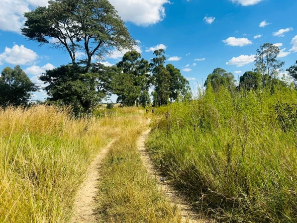 Commercial & Industrial Land