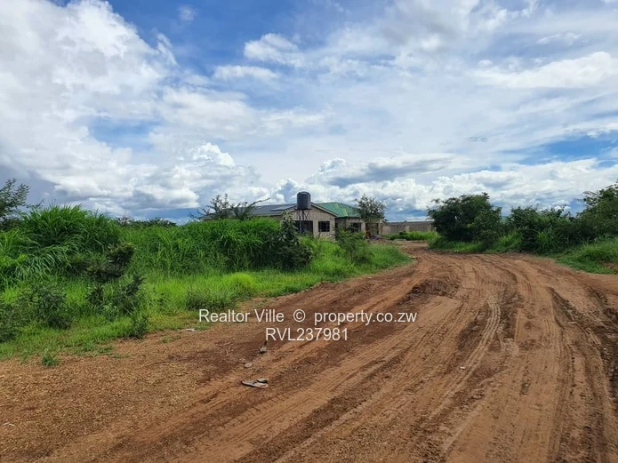 300m² Kadoma Stand — Main Road Frontage, Subdivision Potential (Sole Mandate)