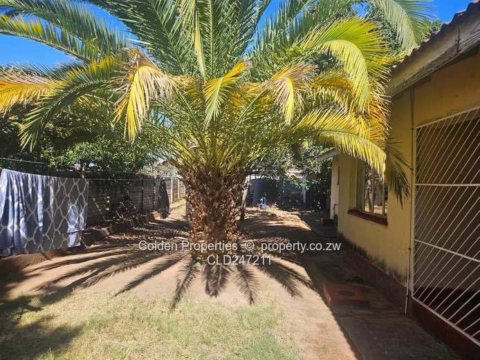Spacious 3-Bed Home in Zimre Park - 936m² & Borehole (Sole Mandate)