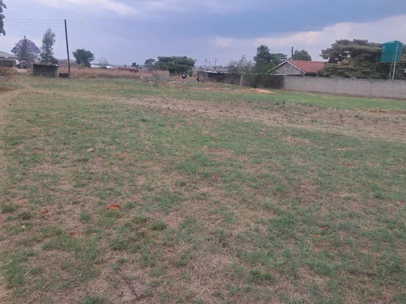 Stands & Residential Land