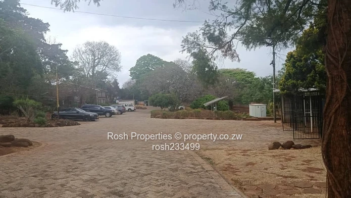 Bachelor`s Flat 2 Stunning Views in Greystone Park