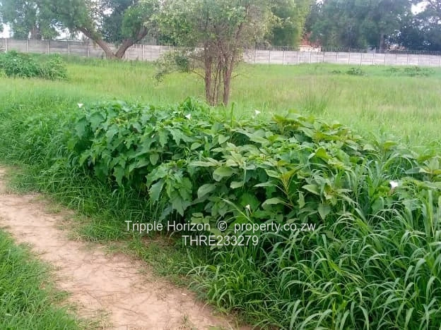 Goodhope Stand For Sale