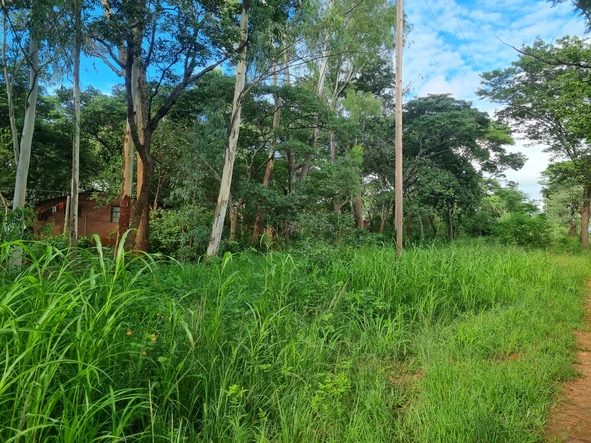 Farm & Agricultural Land