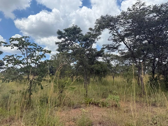 Farm & Agricultural Land