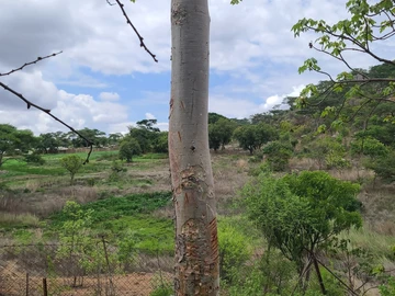 Farm & Agricultural Land