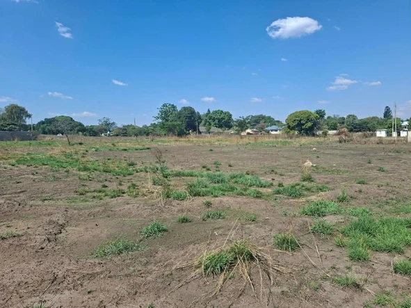 Stands & Residential Land