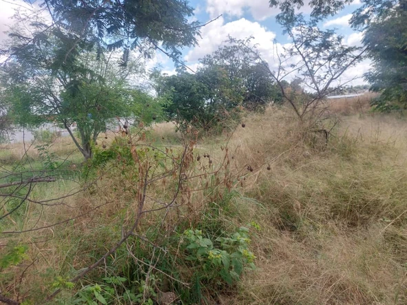 Commercial & Industrial Land