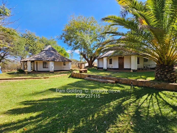 Expansive Gwanda Gem