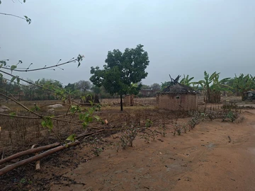 Farm & Agricultural Land
