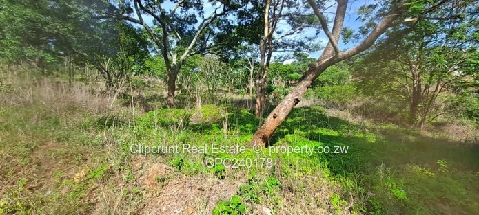 Borrowdale Carrick Creagh Stand For Sale