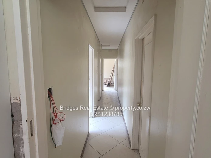 A Halley 's Comet equivalent! 