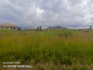 Stands & Residential Land