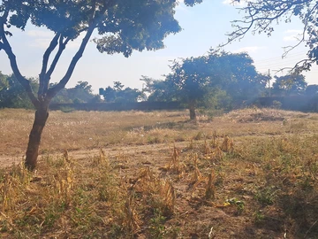 Farm & Agricultural Land