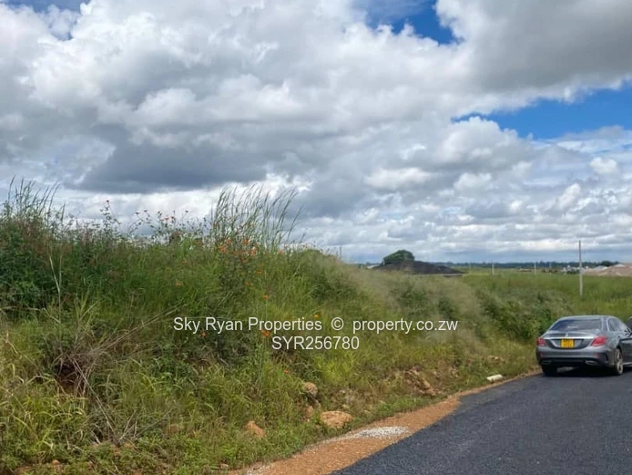 Nyeredzi Pomona Stand For Sale 
