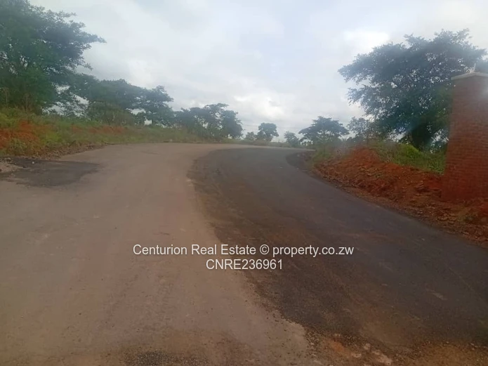 Pomona Wild Geese stand for sale