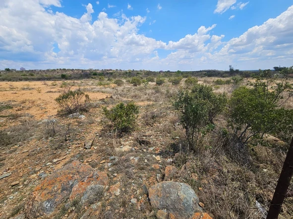 Farm & Agricultural Land
