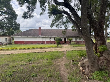 Farm & Agricultural Land