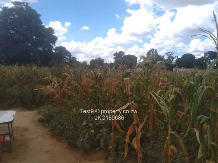 Stands & Residential Land for Sale in Masvingo JKC189686