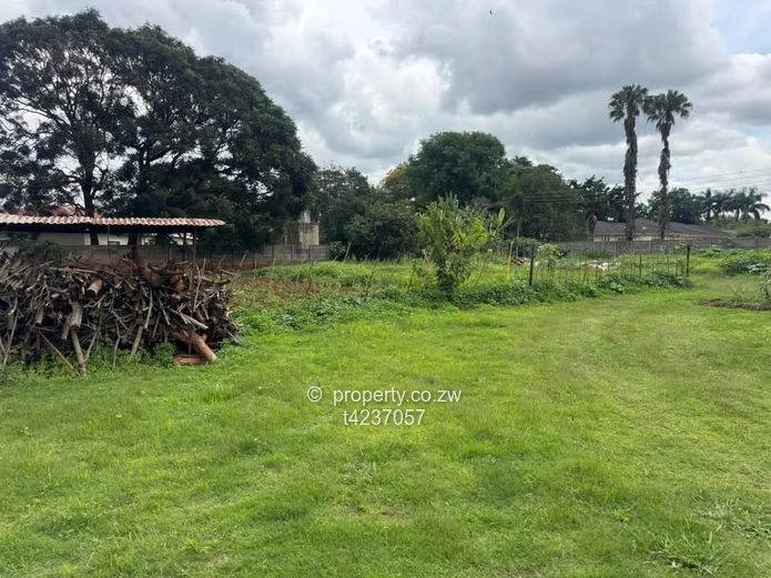 Greystone park house for rent