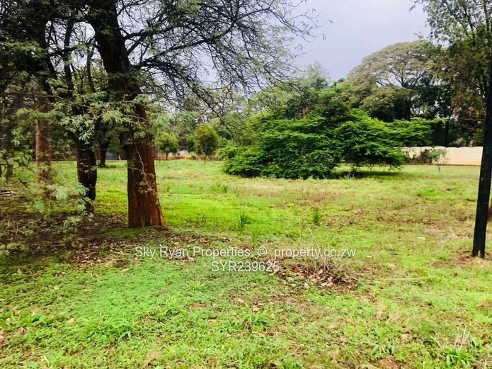 Strathaven Stand For Sale