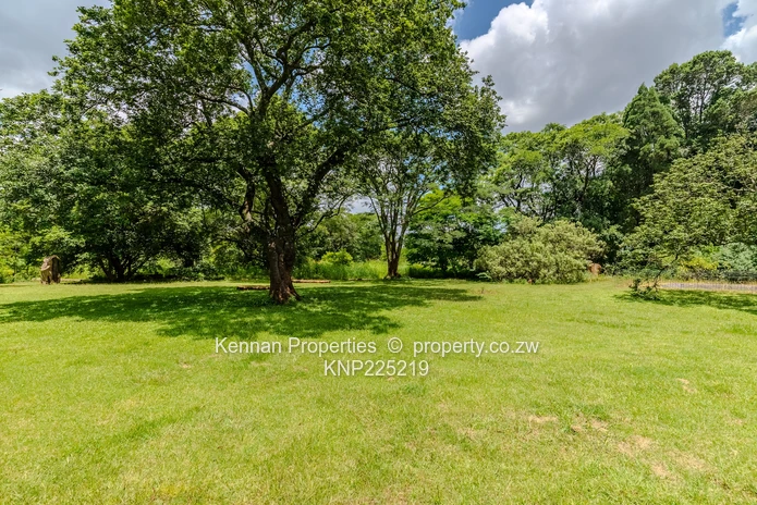 Your dream starts with 3 acres of land!