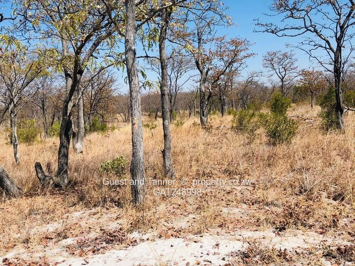 2 Prime Agricultural Plots for Sale – Ngezi Farming Area 