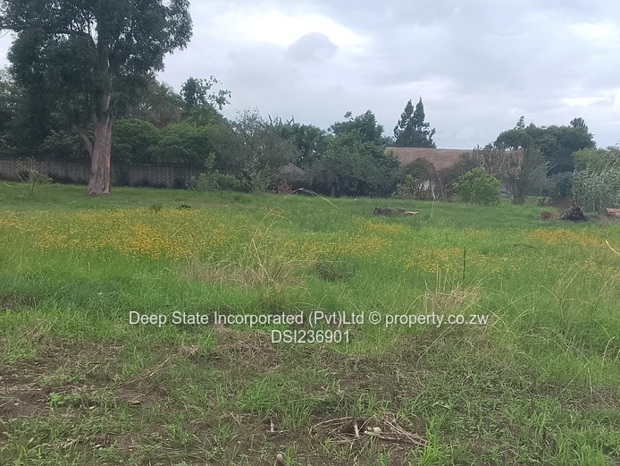 Marlborough stand for sale 