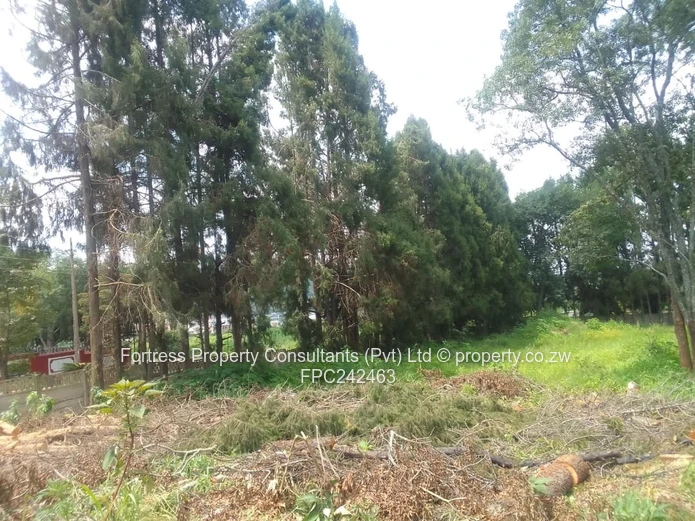 Land Bank- Quinnington