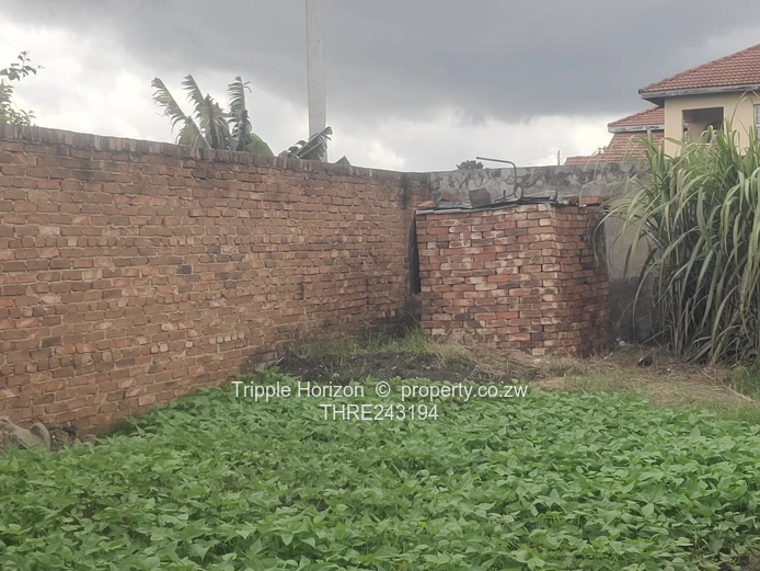 Great investment opportunity 