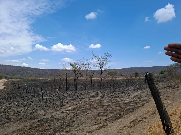 Farm & Agricultural Land