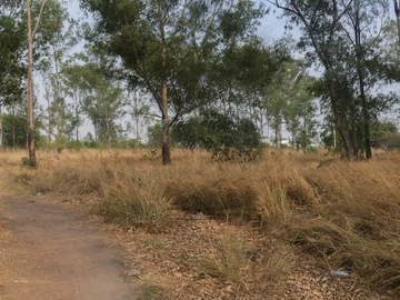 Commercial & Industrial Land