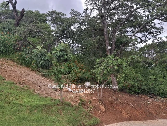 Prime Elevated Residential Stand for Sale in Helensvale – Gated Community