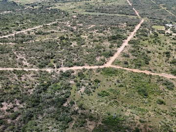 Farm & Agricultural Land