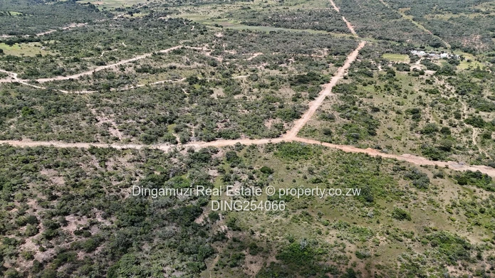 Nyanga Agricultural Plots