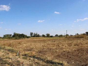 Farm & Agricultural Land