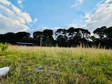 Land