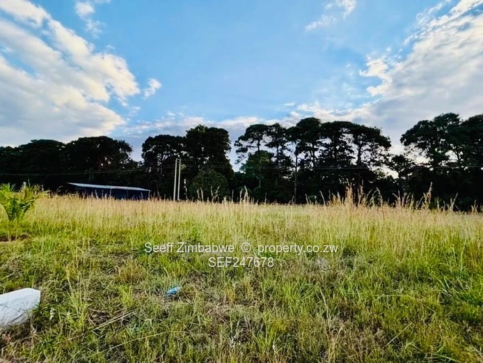 Pomona City Stand- Ready to build (Sole Mandate)