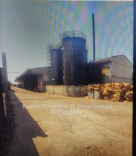 Investment Opportunity