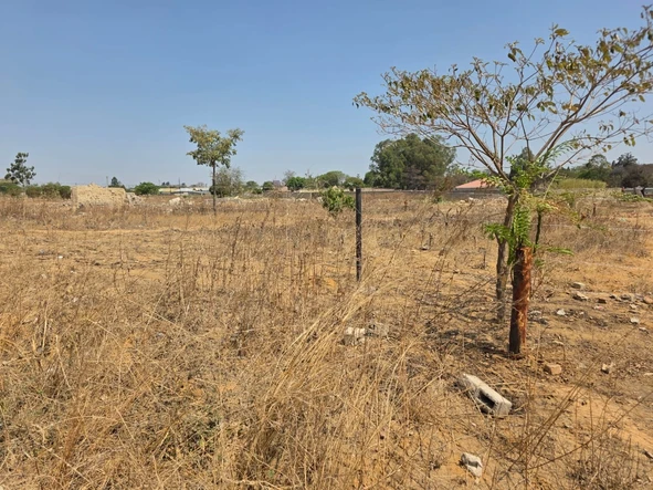 Stands & Residential Land