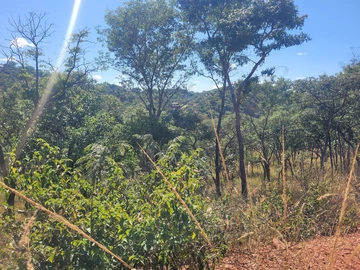 Spacious 2000 m² Residential Stand in Gletwin Park, Harare