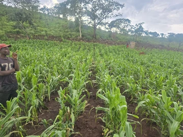 Stands & Residential Land