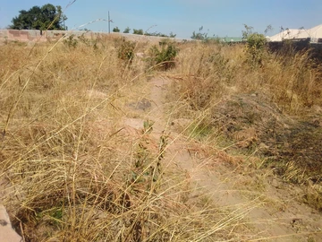 Charlton Park Gweru