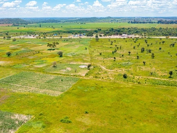 Stands & Residential Land