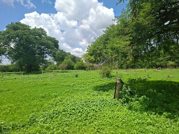 Farm & Agricultural Land