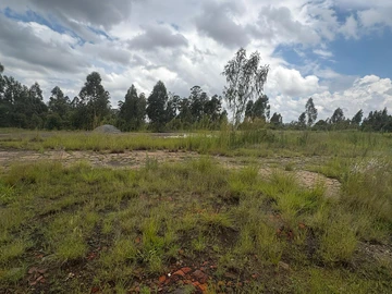 Commercial & Industrial Land