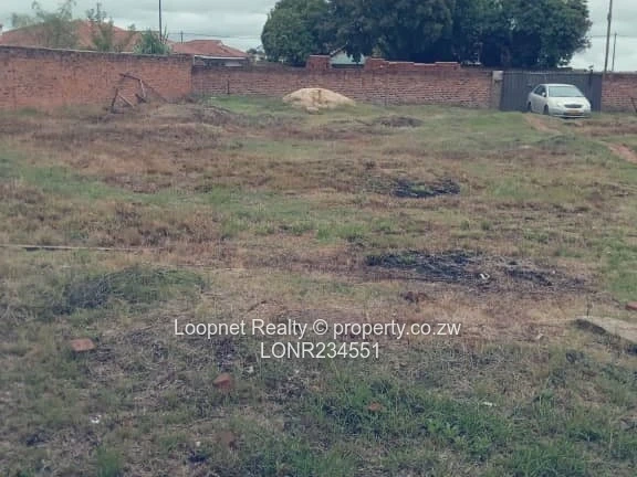 1650m² Marlborough Stand with Brick Cottage & Services