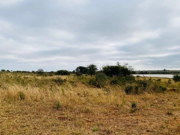 Farm & Agricultural Land