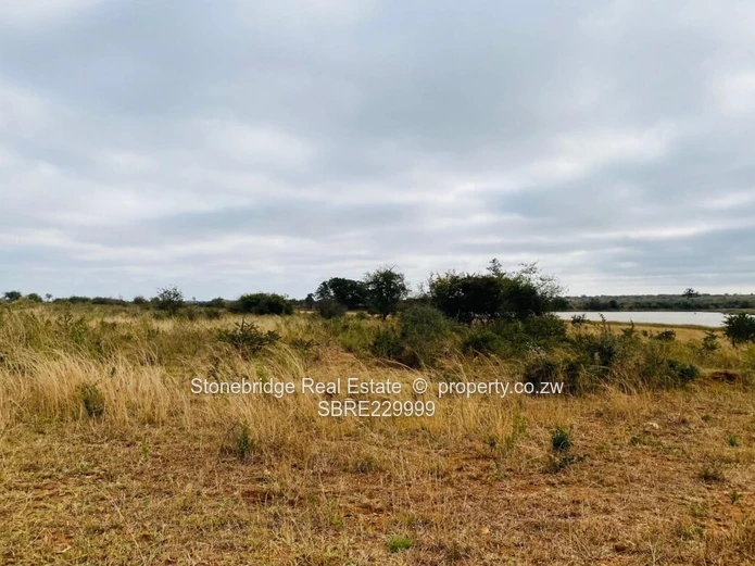Plot in Cement for sale