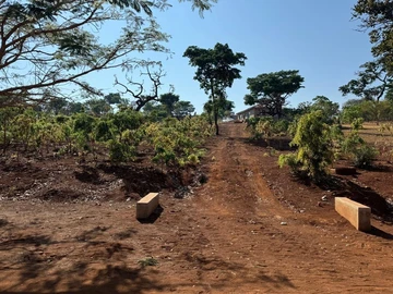 Stands & Residential Land